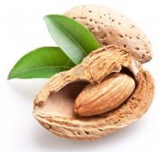 9248084-group-of-almond-nuts-with-leaves-isolated-on-a-white-background